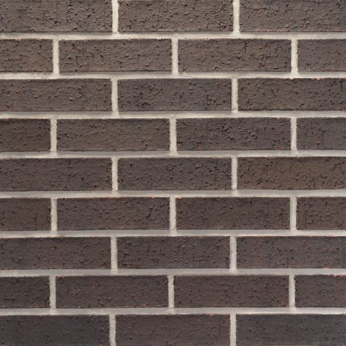 20251011_TUP008_Allentown_MOD_866922