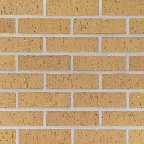 20251023_PEP132_AlluvialMed_MOD_776962