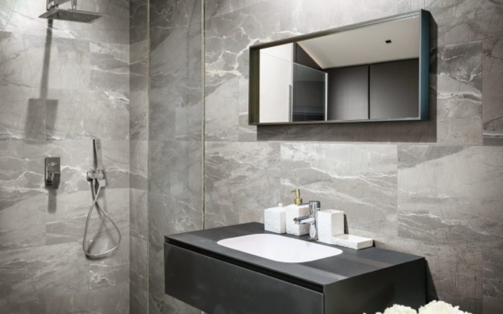 absolute D1 bagno pav e riv light 30x60 pav dark grey 5x5 Medium